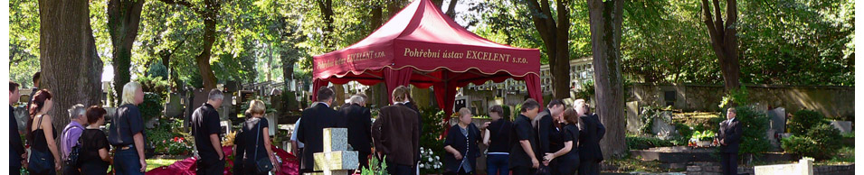 Transparentní přístup a důstojné služby