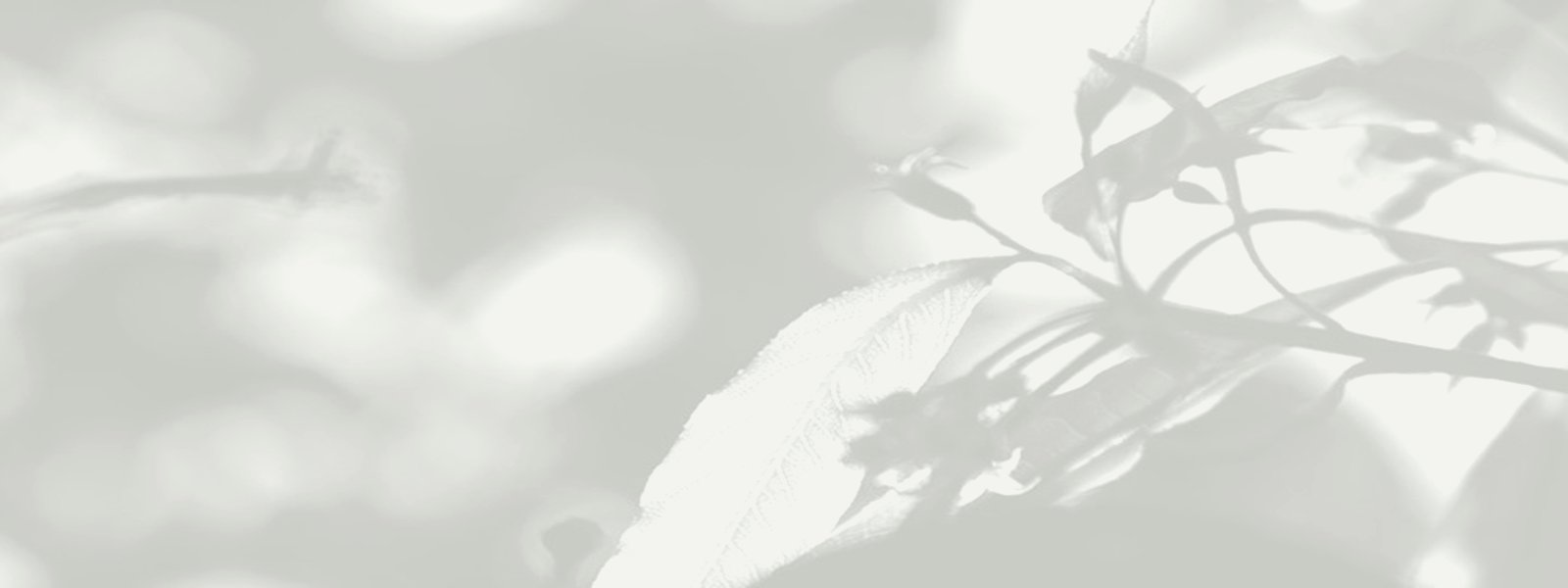 EXCELENT – pietní služby